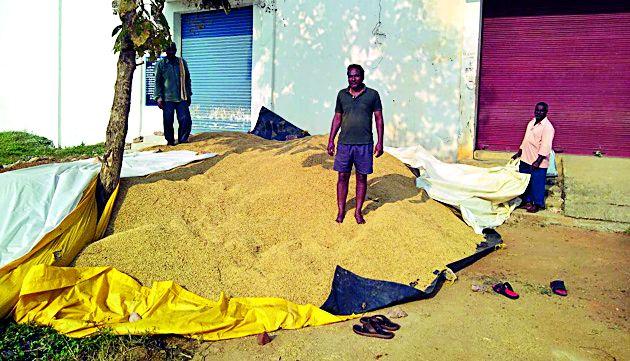 Theft of theft from the Government Shopping Center | शासकीय खरेदी केंद्रातून धानाची चोरी Theft of theft from the Government Shopping Center | शासकीय खरेदी केंद्रातून धानाची चोरी