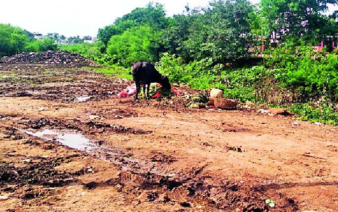 Municipal councils ignore sanitation | स्वच्छतेकडे नगरपरिषदेचे दुर्लक्ष