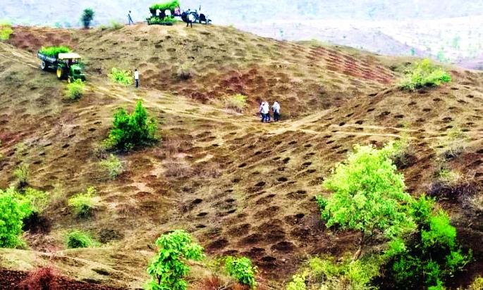 Buldana: Prepare patholes for tree plantation | बुलडाणा: वृक्षारोपणासाठी ९५ लाखावर खड्डे सज्ज