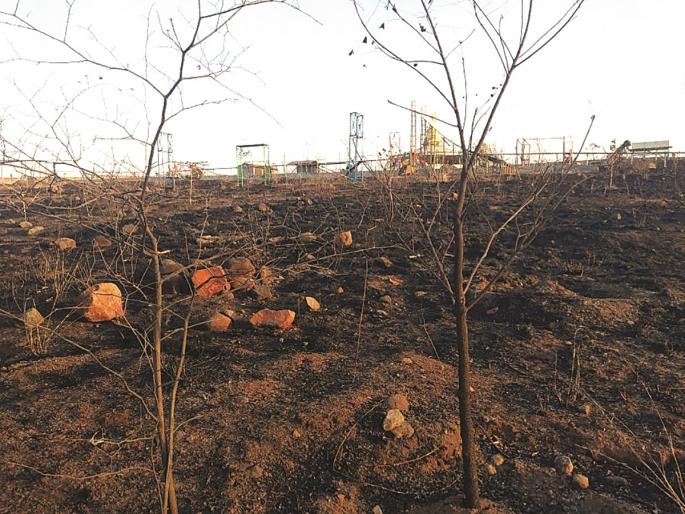 Fire to sailani forest tourist center | सैलानीचे वनपर्यटन केंद्र आगीच्या भक्ष्यस्थानी Fire to sailani forest tourist center | सैलानीचे वनपर्यटन केंद्र आगीच्या भक्ष्यस्थानी