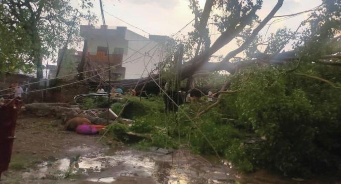 Damage due to pre-monsoon rains in Buldana district; The survey has begun | बुलडाणा जिल्ह्यात मान्सूनपूर्व पावसामुळे नुकसान; सर्वेक्षणास झाला प्रारंभ Damage due to pre-monsoon rains in Buldana district; The survey has begun | बुलडाणा जिल्ह्यात मान्सूनपूर्व पावसामुळे नुकसान; सर्वेक्षणास झाला प्रारंभ