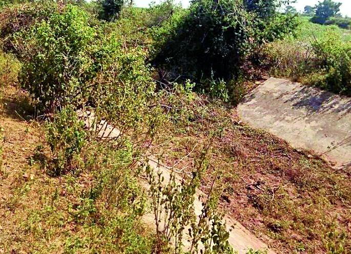 Drought water enters companies | धरणाचे पाणी कंपन्यांच्या घशात Drought water enters companies | धरणाचे पाणी कंपन्यांच्या घशात