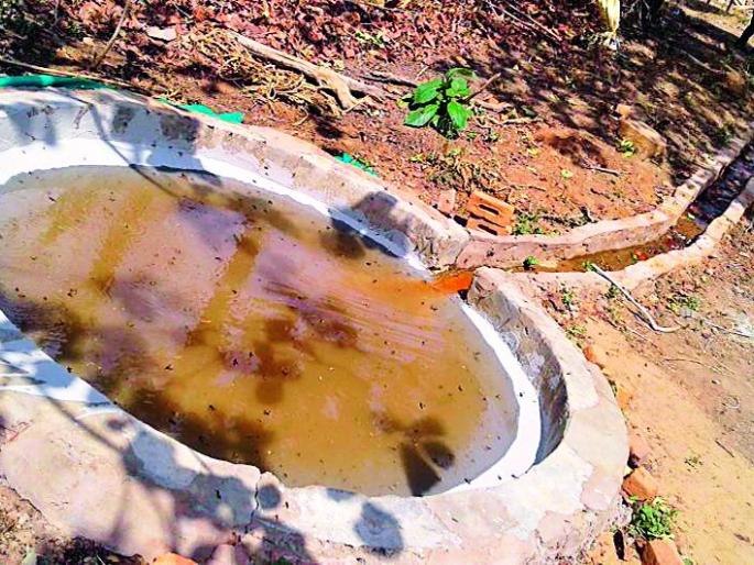 The junk food dryers; Wildlife wandering | जंगलातील पाणवठे कोरडे; वन्यप्राण्यांची भटकंती The junk food dryers; Wildlife wandering | जंगलातील पाणवठे कोरडे; वन्यप्राण्यांची भटकंती