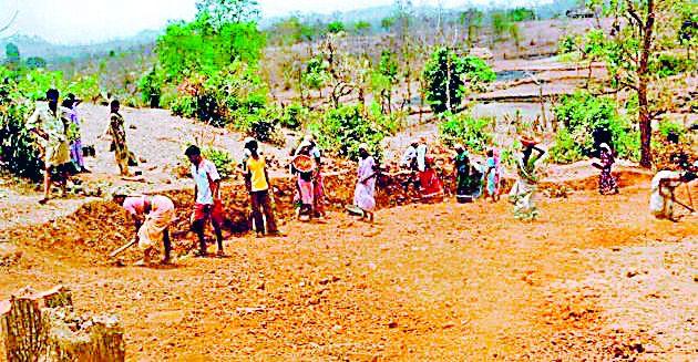 Work of 126 crores will be done through Roho | रोहयोतून होणार १२६ कोटींची कामे Work of 126 crores will be done through Roho | रोहयोतून होणार १२६ कोटींची कामे