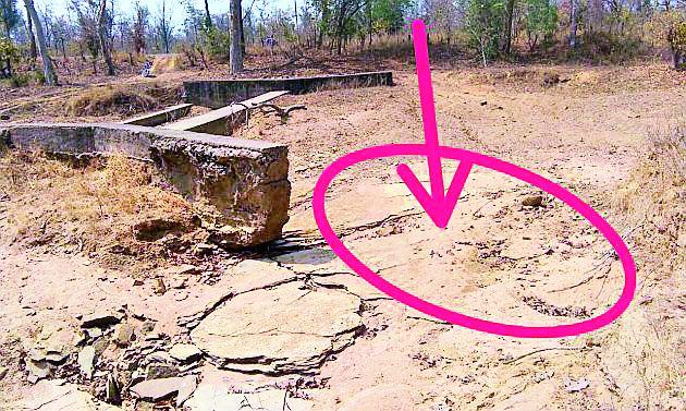  Ignore the bundled repair | बंधारा दुरूस्तीकडे दुर्लक्ष