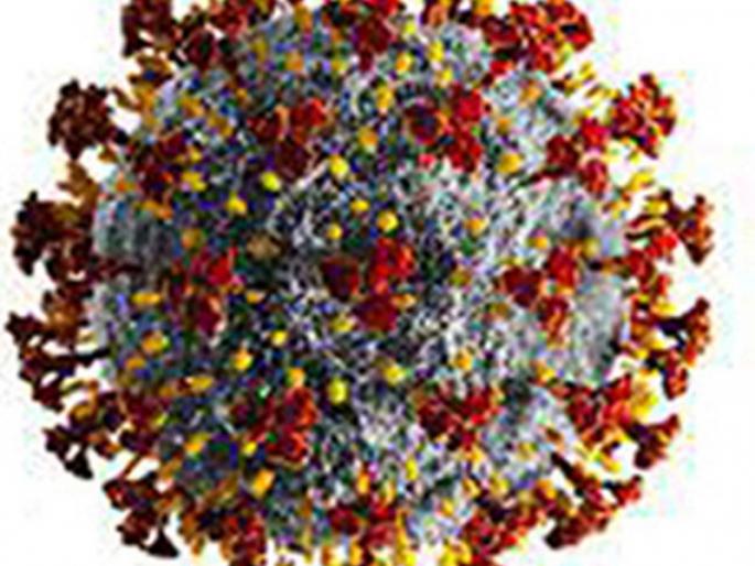 314 victims in the district defeated Kelly Corona | जिल्ह्यातील 314 बाधितांनी केली कोरोनावर मात 314 victims in the district defeated Kelly Corona | जिल्ह्यातील 314 बाधितांनी केली कोरोनावर मात