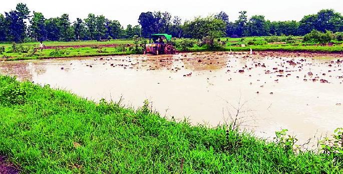 The presence of rainfall everywhere in the district | जिल्ह्यात सर्वत्र पावसाची हजेरी The presence of rainfall everywhere in the district | जिल्ह्यात सर्वत्र पावसाची हजेरी