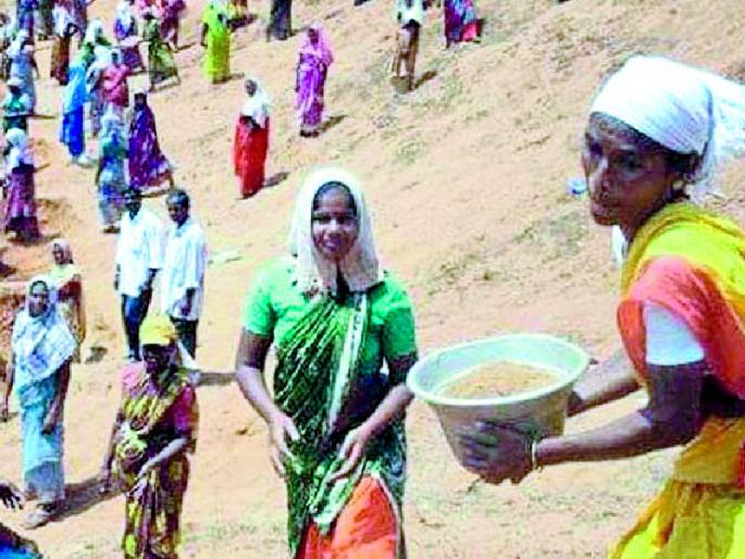 35 crore rupees of MGNREGA has been stuck for two years | मनरेगाचे ३५ कोटी रुपये दोन वर्षांपासून अडकले 35 crore rupees of MGNREGA has been stuck for two years | मनरेगाचे ३५ कोटी रुपये दोन वर्षांपासून अडकले