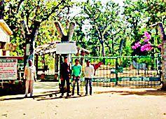 Bucky Gate has increased the number of tourists | बकी गेटमुळे पर्यटकांच्या संख्येत वाढ Bucky Gate has increased the number of tourists | बकी गेटमुळे पर्यटकांच्या संख्येत वाढ