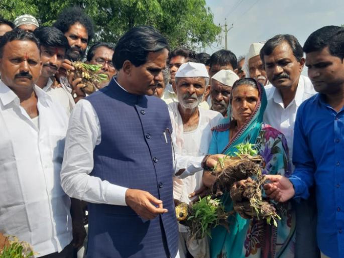 Instructions to District Collector about damage of crops | नुकसानीचे पंचनामे करण्याच्या जिल्हाधिकाऱ्यांना दिल्या सूचना Instructions to District Collector about damage of crops | नुकसानीचे पंचनामे करण्याच्या जिल्हाधिकाऱ्यांना दिल्या सूचना