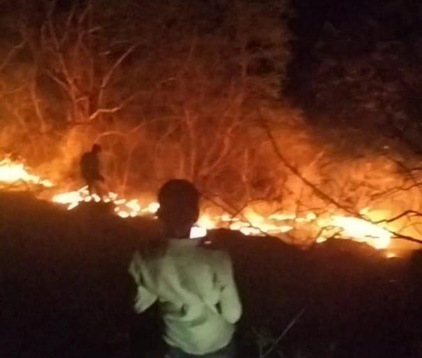 Shiplya mountain near Khamkheda fire | खामखेडा नजिकच्या शिपल्या डोंगराला आग