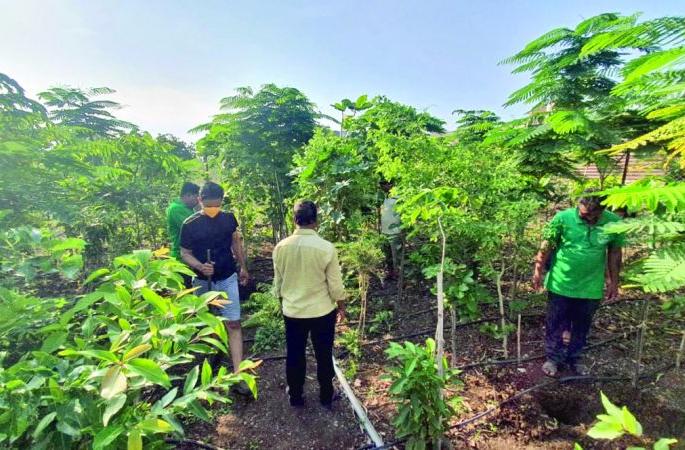 The Shegaon railway station area will be covered with greenery | शेगाव रेल्वे स्टेशन परिसर हिरवाईने नटणार The Shegaon railway station area will be covered with greenery | शेगाव रेल्वे स्टेशन परिसर हिरवाईने नटणार