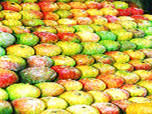Mango export from Nashik stopped | नाशिकमधून होणारी आंब्याची निर्यात बंद Mango export from Nashik stopped | नाशिकमधून होणारी आंब्याची निर्यात बंद