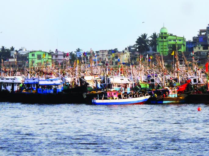 Ratnagiri: Will the controversy over traditional-persecution continue to be annihilated? | रत्नागिरी :पारंपरिक-पर्ससीनमधील वाद यंदाही चिघळणार ? Ratnagiri: Will the controversy over traditional-persecution continue to be annihilated? | रत्नागिरी :पारंपरिक-पर्ससीनमधील वाद यंदाही चिघळणार ?