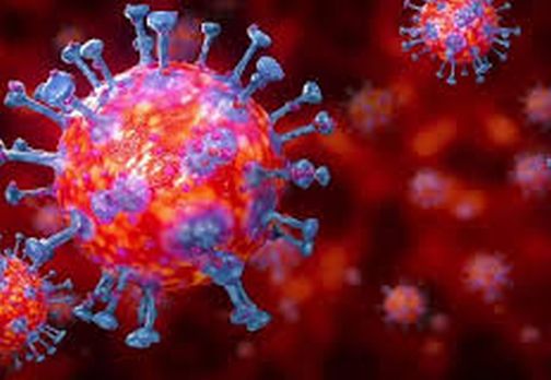 Public spaces should be sterilized twice | सार्वजनिक जागांचे दोन वेळा निर्जंतुकीकरण करावे