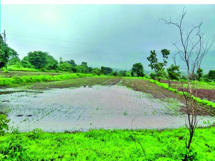 strong rainfall in veer, Bhatghar, Nira-Deoghar Dam area | वीर, भाटघर, नीरा-देवघर धरणक्षेत्रांत दमदार पाऊस