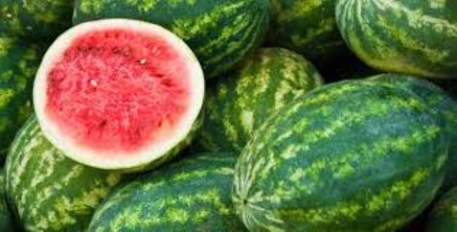  Grapefruits appeared, grapes of watermelons | गल्लोगल्ली दिसू लागल्या द्राक्ष, टरबुजाच्या हातगाड्या