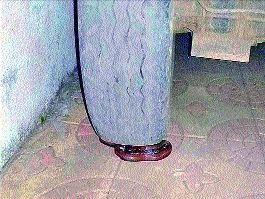 In the apartment, the rare 'Pahadi smuggler' | अपार्टमेंटमध्ये दुर्मीळ ‘पहाडी तस्कर’ In the apartment, the rare 'Pahadi smuggler' | अपार्टमेंटमध्ये दुर्मीळ ‘पहाडी तस्कर’