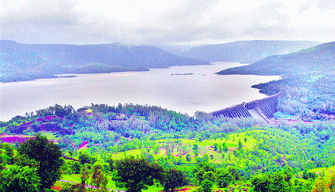 Electricity and irrigation water! | वीजनिर्मिती अन् सिंचनाच्या कात्रीत कोयनेचं पाणी !