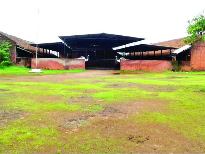 Suhas Pednekar, son of Hadi village, Mumbai University Vice-Chancellor honors Sindhudurga | सुहास पेडणेकर हडी गावचे सुपुत्र , मुंबई विद्यापीठाच्या कुलगुरूचा मान सिंधुदुर्गला Suhas Pednekar, son of Hadi village, Mumbai University Vice-Chancellor honors Sindhudurga | सुहास पेडणेकर हडी गावचे सुपुत्र , मुंबई विद्यापीठाच्या कुलगुरूचा मान सिंधुदुर्गला