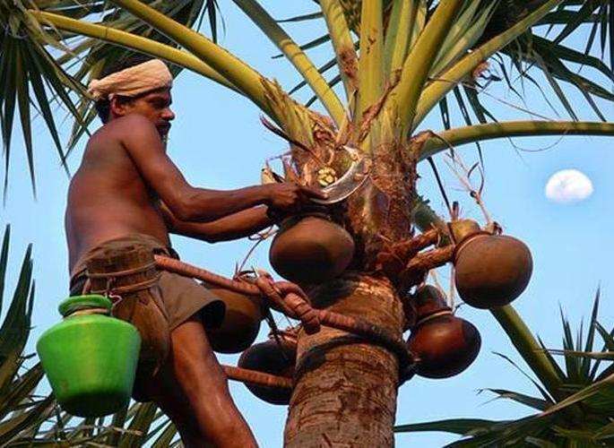 Drink toddy to keep coronavirus away, says Bhim Rajbhar | कोरोनापासून रक्षणासाठी राजभर यांचा घोटभर उपाय! Drink toddy to keep coronavirus away, says Bhim Rajbhar | कोरोनापासून रक्षणासाठी राजभर यांचा घोटभर उपाय!