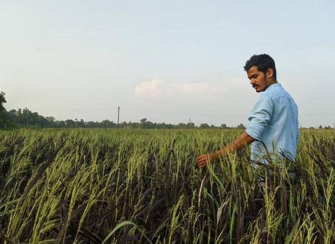 The youth of the metropolis prefer agriculture | महानगरातील तरुणांची शेतीला पसंती
