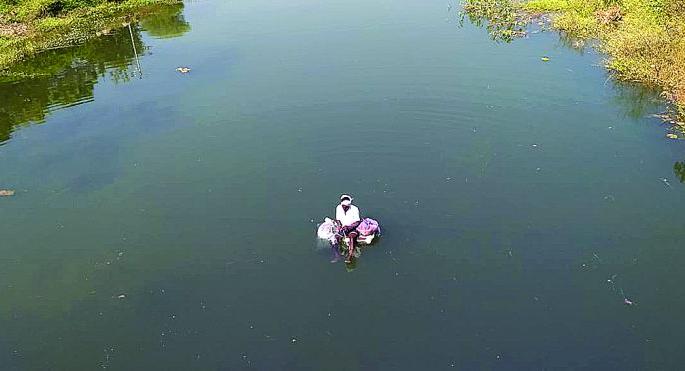 Plenty of water boosts fishing business in washim district | मुबलक पाण्यामुळे मत्स्य व्यवसायाला उभारी! Plenty of water boosts fishing business in washim district | मुबलक पाण्यामुळे मत्स्य व्यवसायाला उभारी!