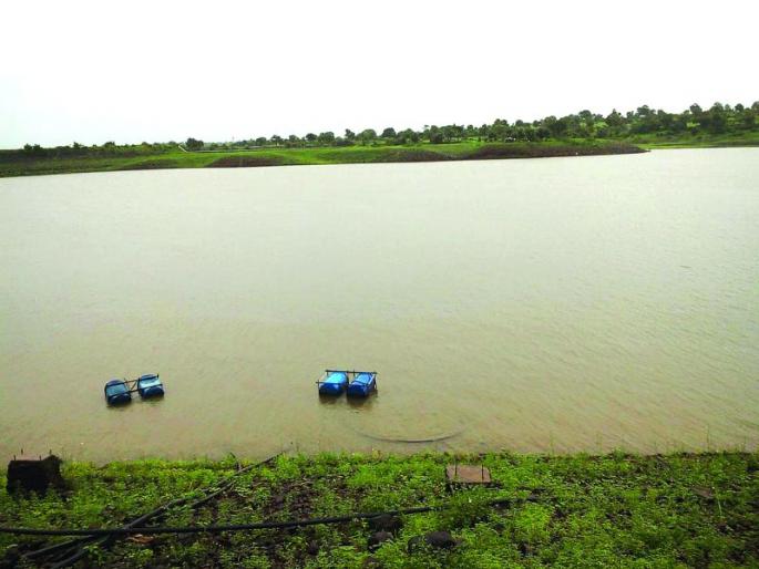 Rainfall increased on the fifth day in Washim district | वाशिम जिल्ह्यात पाचव्या दिवशी वाढला पावसाचा जोर