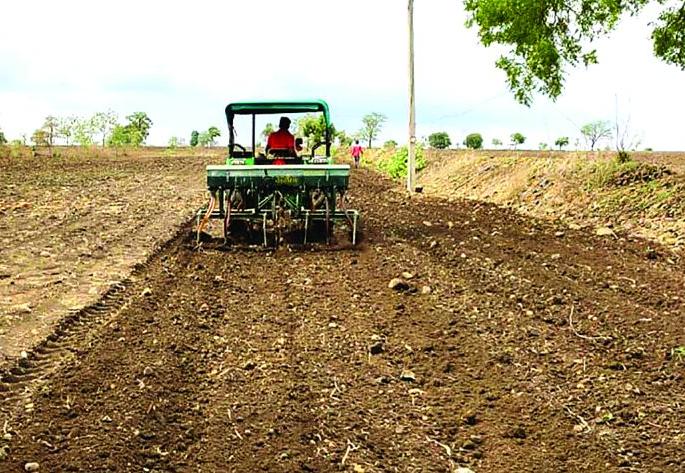 50% sowing in Washim district despite low rainfall | वाशिम जिल्ह्यात अल्पशा पावसावर आटोपल्या ५० टक्के पेरण्या 50% sowing in Washim district despite low rainfall | वाशिम जिल्ह्यात अल्पशा पावसावर आटोपल्या ५० टक्के पेरण्या