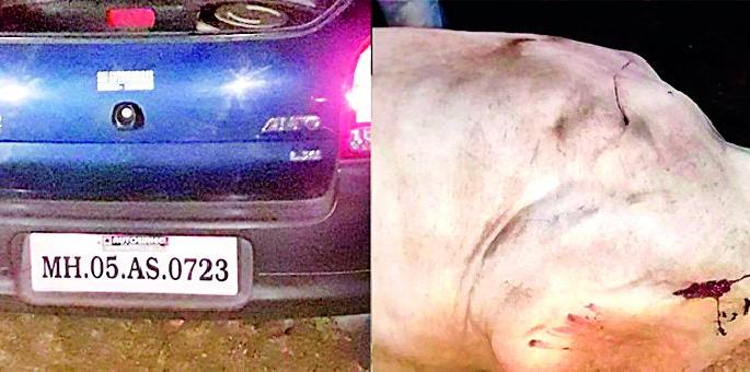 Bailjudi injured in father's car | कारची बैलबंडीला धडक पिता-पुत्रासह बैलजोडी जखमी