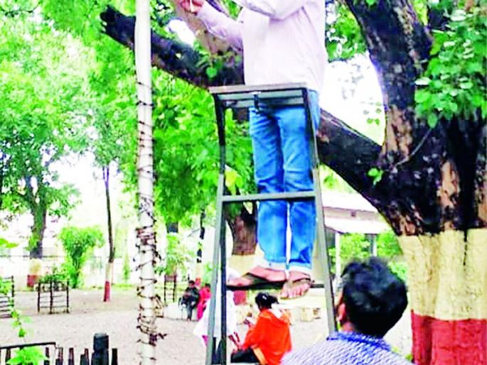 CCTV eyes on Bapu's ashram | बापूंच्या आश्रमावर राहणार सीसीटीव्हीची नजर