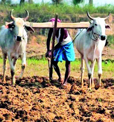  Accept the current policy of 150% increase in the farmland | शेतमालाला १५० टक्के भाव वाढीचे कायम धोरण स्वीकारा