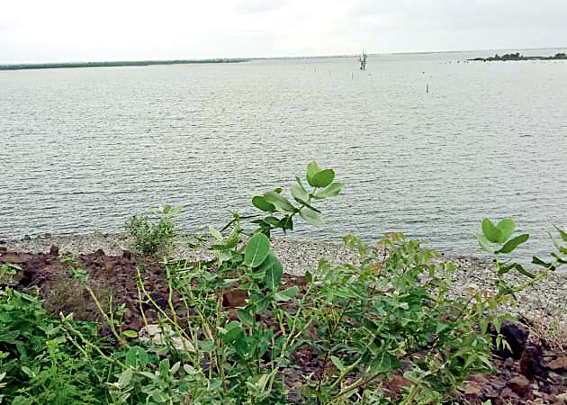 35-parakalapaata-naamamaatara-jalasaathaa | ३५ प्रकल्पात नाममात्र जलसाठा