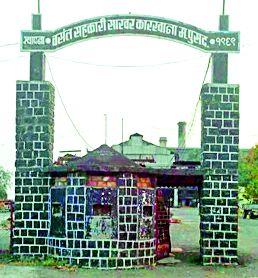 The existence of 'Vasant' in danger | ‘वसंत’चे अस्तित्व धोक्यात The existence of 'Vasant' in danger | ‘वसंत’चे अस्तित्व धोक्यात