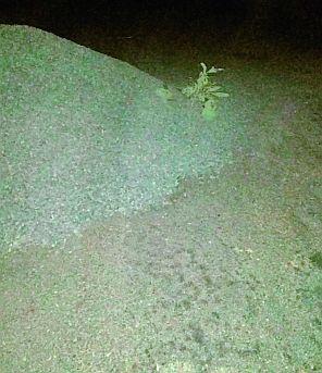 Roadmap revoked on life | रस्ते दुरुस्ती जीवावर उठली