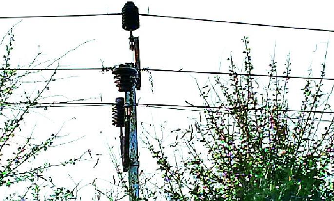 Power cable parallel dish cable | वीजवाहिनीच्या समांतर डिश केबल Power cable parallel dish cable | वीजवाहिनीच्या समांतर डिश केबल