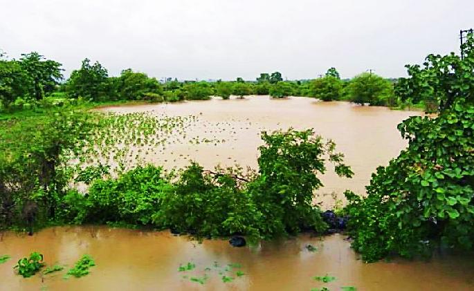 Heavy rain for the first time in the district | जिल्ह्यात पहिल्यांदाच दमदार पाऊस Heavy rain for the first time in the district | जिल्ह्यात पहिल्यांदाच दमदार पाऊस