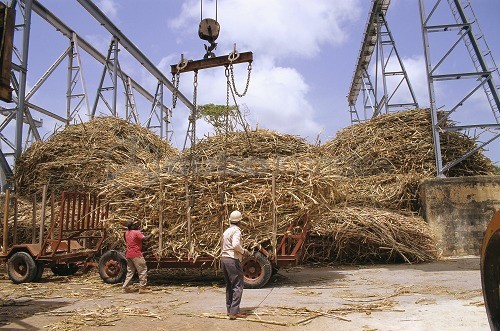 Vasakachi Sabha illegal: Mahendra Hiray | वसाकाची सभा बेकायदेशीर : महेंद्र हिरे Vasakachi Sabha illegal: Mahendra Hiray | वसाकाची सभा बेकायदेशीर : महेंद्र हिरे