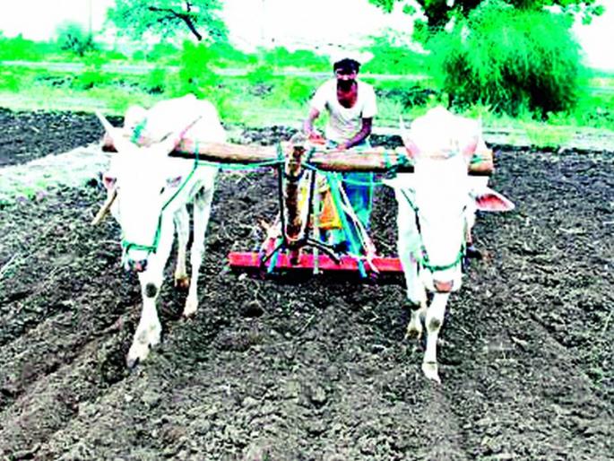 Mahabeej's planning collapsed at the time of sowing | पेरणीच्या तोंडावर महाबीजचे नियोजन कोलमडले Mahabeej's planning collapsed at the time of sowing | पेरणीच्या तोंडावर महाबीजचे नियोजन कोलमडले
