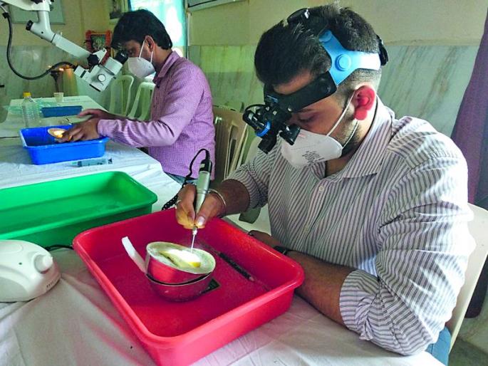 Ear and nose surgery; Realization of the joint concept of engineering student and doctor | कान व नाकाच्या मार्गाने केली मेंदूची शस्त्रक्रिया; अभियांत्रिकीचा विद्यार्थी व डॉक्टरांची संयुक्त संकल्पना साकार Ear and nose surgery; Realization of the joint concept of engineering student and doctor | कान व नाकाच्या मार्गाने केली मेंदूची शस्त्रक्रिया; अभियांत्रिकीचा विद्यार्थी व डॉक्टरांची संयुक्त संकल्पना साकार