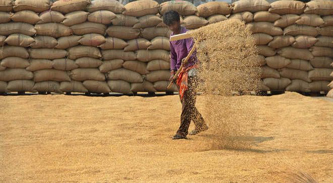 321 crore pending ; farmer At the door of the lender | रबीचे ३२१ कोटी रुपयांचे चुकारे थकले; शेतकरी सावकाराच्या दारात 321 crore pending ; farmer At the door of the lender | रबीचे ३२१ कोटी रुपयांचे चुकारे थकले; शेतकरी सावकाराच्या दारात