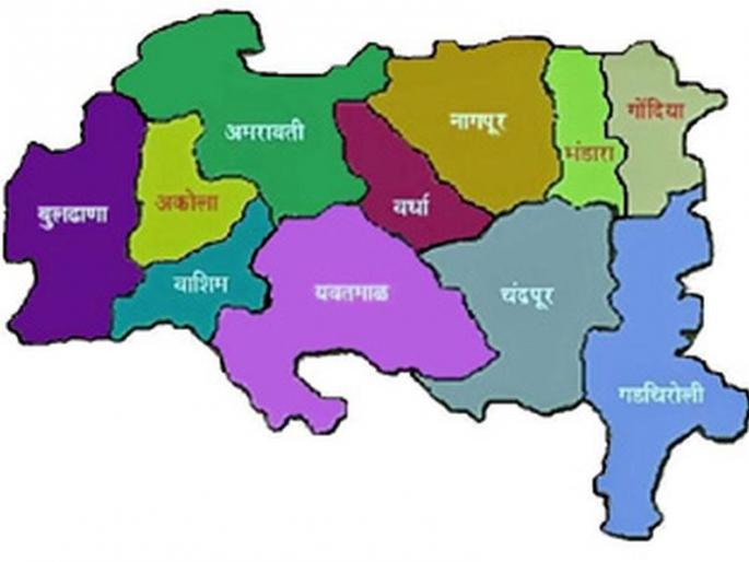 BJP ignores independent Vidarbha state | स्वतंत्र विदर्भ राज्याकडे दुर्लक्ष भाजपला भोवले BJP ignores independent Vidarbha state | स्वतंत्र विदर्भ राज्याकडे दुर्लक्ष भाजपला भोवले