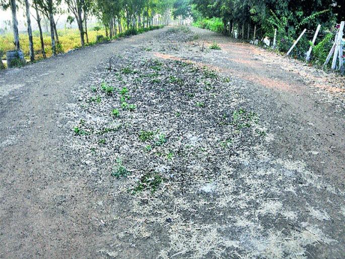 Wadala-DGP Nagar due to jogging track | वडाळा-डीजीपीनगर जॉगिंग ट्रॅक संपुष्टात Wadala-DGP Nagar due to jogging track | वडाळा-डीजीपीनगर जॉगिंग ट्रॅक संपुष्टात