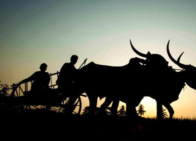 The farmers strike fell apart; Out of the organization | शेतकरी संपात पडली फूट; संघटना बाहेर