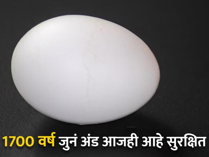 1700 years old roman chicken egg found in England | कमाल! जगातील सगळ्यात जुनं अंड जे 1700 वर्षानंतरही आहे चांगलं, बघा फोटो!
