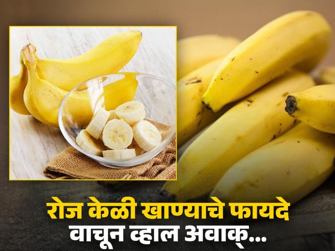 Banana Benefits : Why should you consume banana daily, know its benefits | रोज केळी खाण्याचे फायदे, वाचाल तर रोज खाणं सुरू कराल! Banana Benefits : Why should you consume banana daily, know its benefits | रोज केळी खाण्याचे फायदे, वाचाल तर रोज खाणं सुरू कराल!