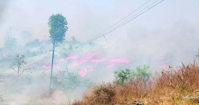 Fire in Popatkhed area near Melghat Tiger Project | मेळघाट व्याघ्र प्रकल्पालगत पोपटखेड परिसरात वणवा Fire in Popatkhed area near Melghat Tiger Project | मेळघाट व्याघ्र प्रकल्पालगत पोपटखेड परिसरात वणवा