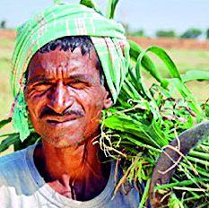 Khorpi Khiriipa Payday 58 | उद्ध्वस्त खरिपाची पैसेवारी ५८ Khorpi Khiriipa Payday 58 | उद्ध्वस्त खरिपाची पैसेवारी ५८