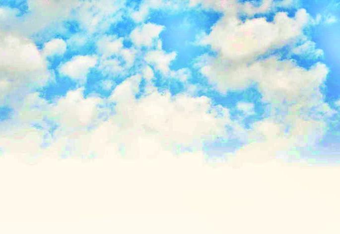 Kantheri muddy birds found in Amravati | अमरावतीत आढळला कंठेरी चिखल्या पक्षी Kantheri muddy birds found in Amravati | अमरावतीत आढळला कंठेरी चिखल्या पक्षी