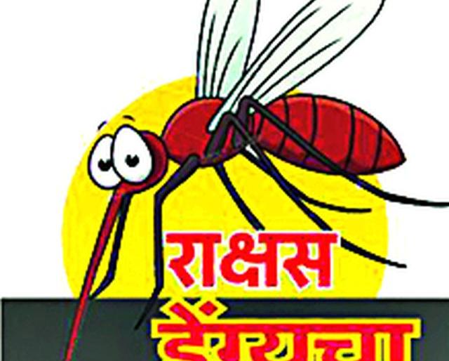 More than 35 patients of Dengue are positive | डेंग्यूचे आणखी ३५ रुग्ण पॉझिटिव्ह